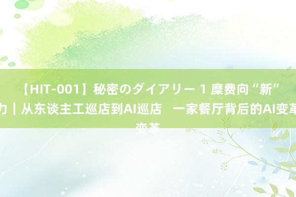 【HIT-001】秘密のダイアリー 1 糜费向“新”力｜从东谈主工巡店到AI巡店   一家餐厅背后的AI变革