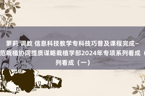 萝莉 调教 信息科技教学专科技巧普及课程完成——师范栽植协同提质谋略栽植学部2024年专项系列看成（一）