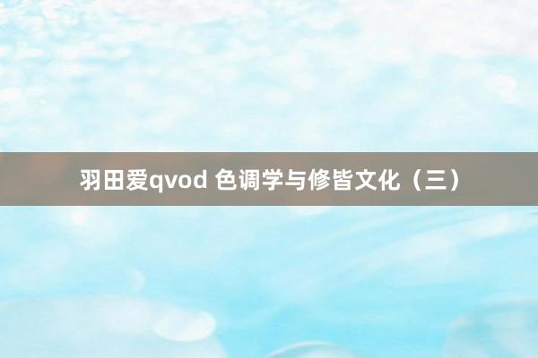 羽田爱qvod 色调学与修皆文化（三）