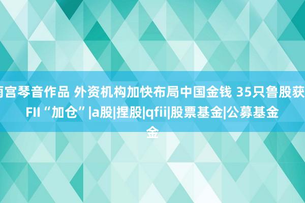 雨宫琴音作品 外资机构加快布局中国金钱 35只鲁股获QFII“加仓”|a股|捏股|qfii|股票基金|公募基金