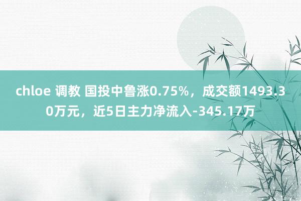 chloe 调教 国投中鲁涨0.75%，成交额1493.30万元，近5日主力净流入-345.17万