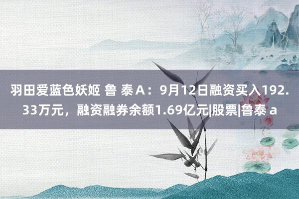 羽田爱蓝色妖姬 鲁 泰Ａ：9月12日融资买入192.33万元，融资融券余额1.69亿元|股票|鲁泰ａ