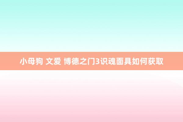 小母狗 文爱 博德之门3识魂面具如何获取